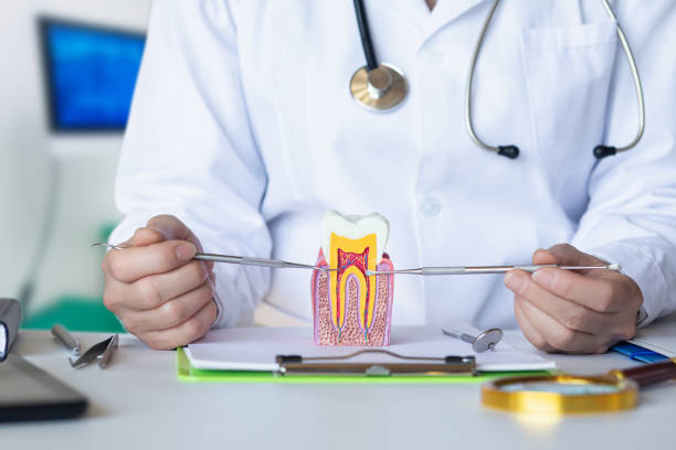 Best Emergency Dentist for Knocked-Out Tooth in Strawberry Point, IA